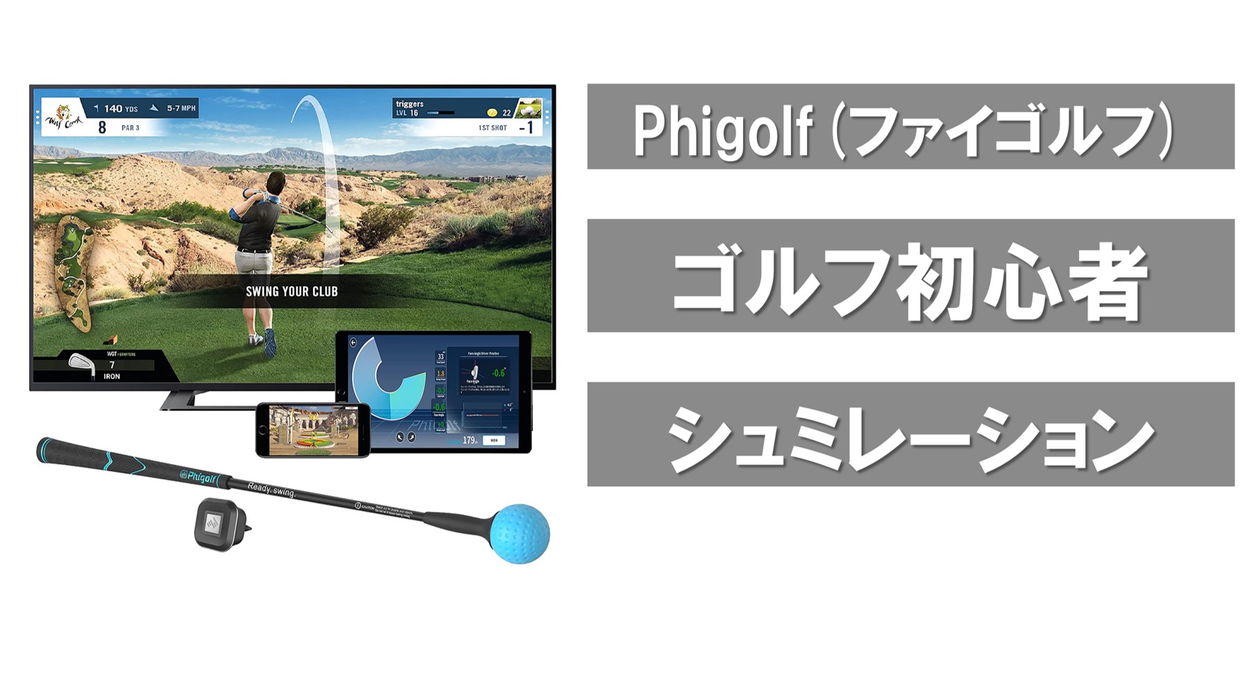 10858円 新生活 ファイゴルフWGT シュミレーションゴルフ 室内 美品